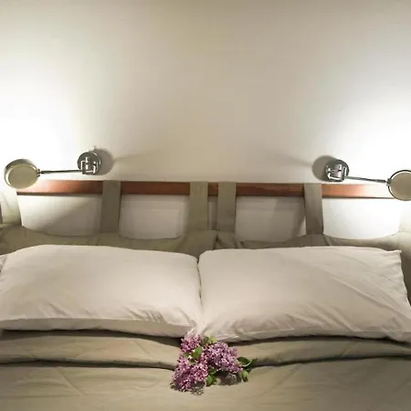 Pensionat In Guest - Taleton Eco Guest House-environmentally Friendlyfree Wifi Access